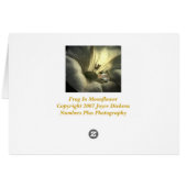 Frog In Moonflower Cards (Back Horizontal)