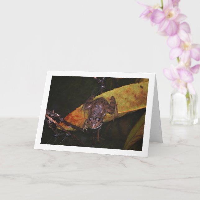 Frog in Pond Portrait Card (Orchid)