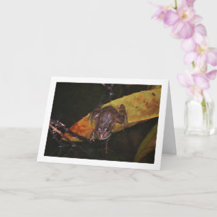 Frog in Pond Portrait Card
