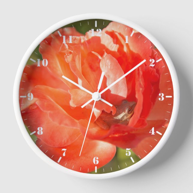 Frog in the red rose clock (Front)