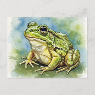 Frog in the Sunlight Postcard for Postcrossing