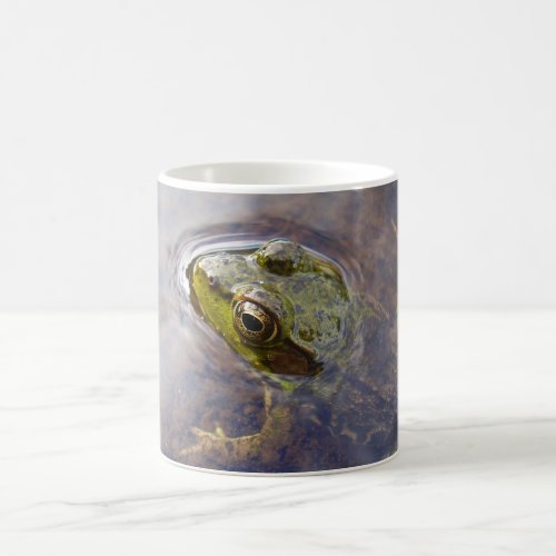 Frog in Water Coffee Mug