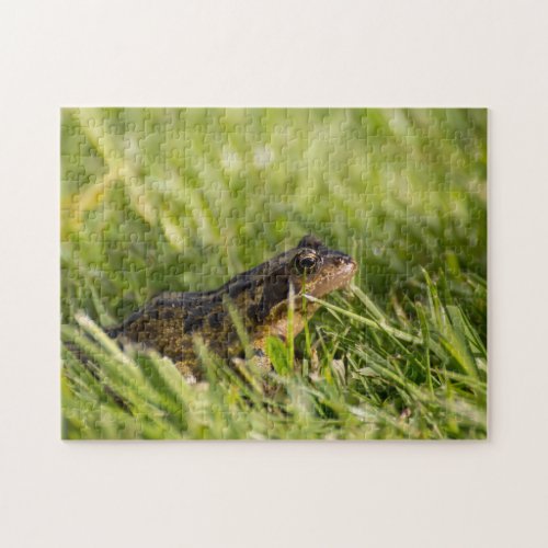 Frog Jigsaw Puzzle