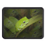 frog.jpg tow hitch cover