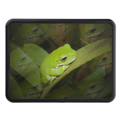 frogjpg tow hitch cover