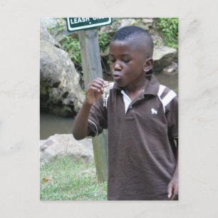 Frog legs postcard