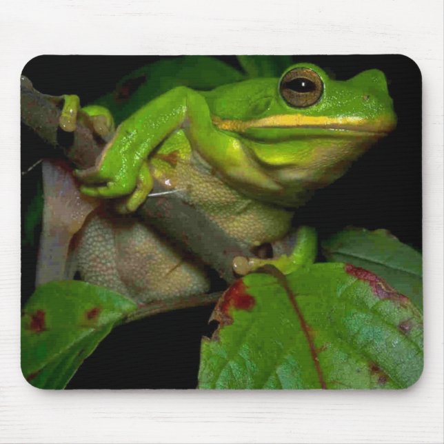 Frog lovers mousepad (Front)