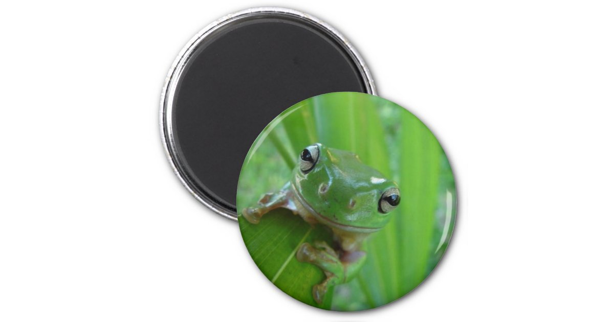 Frog Magnet | Zazzle