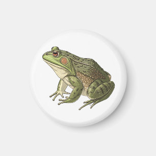 Frog Magnet