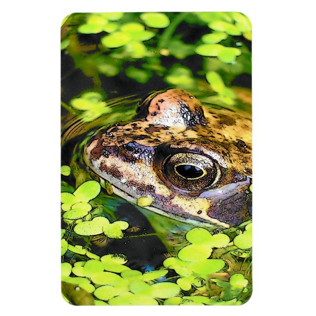 FROG MAGNET (Vertical)