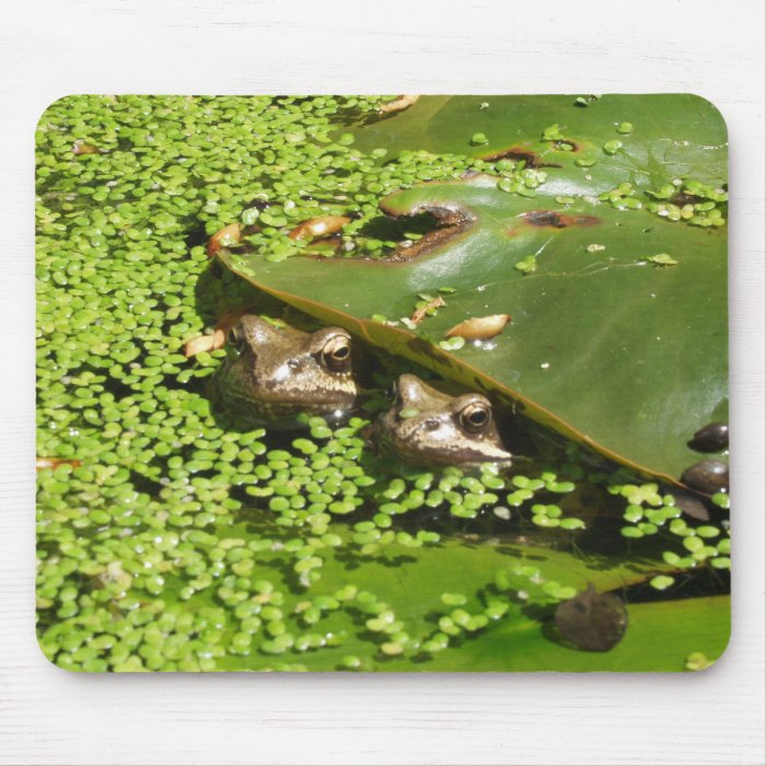 FROG MOUSE PAD