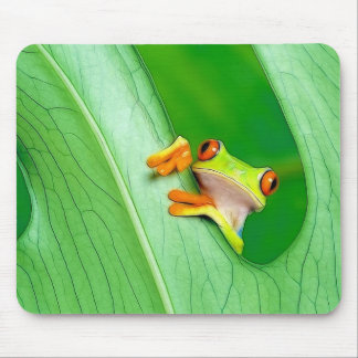frog mouse pad