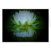 Frog of the Lily (Front Horizontal)