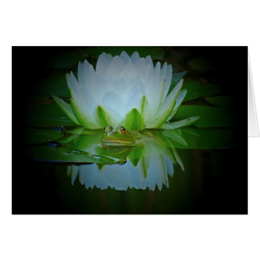 Frog of the Lily Cards (Front Horizontal)