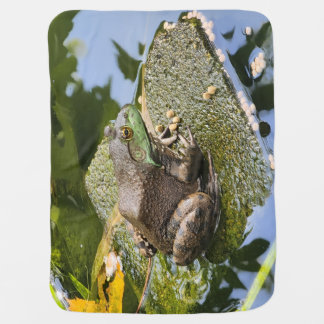 Frog - Old Croaker Baby Blanket