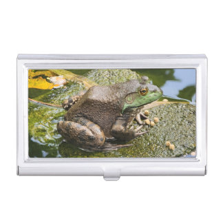 Frog - Old Croaker Business Card Case