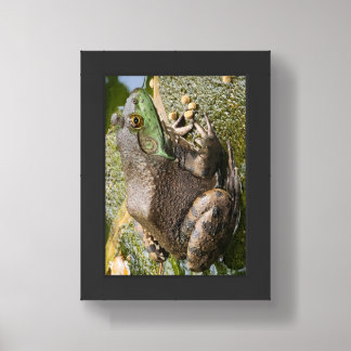 Frog - Old Croaker Framed Art