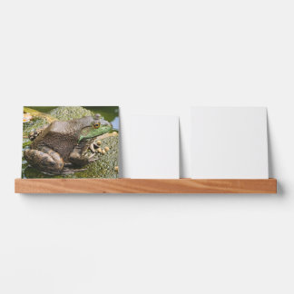Frog - Old Croaker Picture Ledge