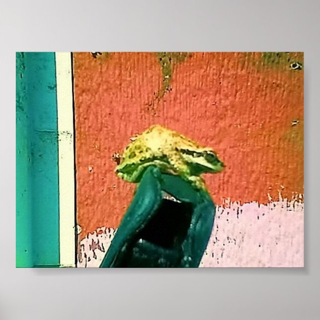 Frog On a Cell Phone Case Poster (Front)