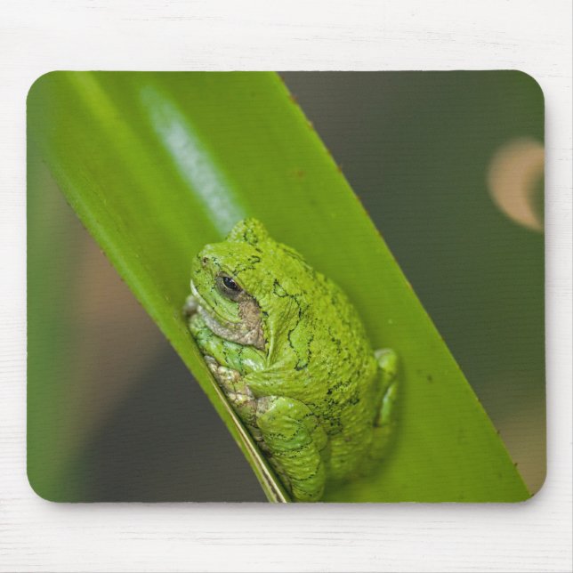Frog On a Green Leaf Mouse Pad (Front)