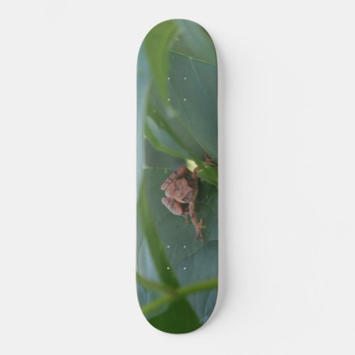 Frog on a Leaf Skateboard