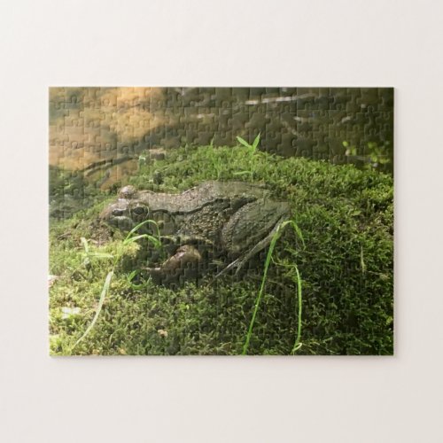 Frog on a Mossy Rock Photo Green and Brown Jigsaw Puzzle