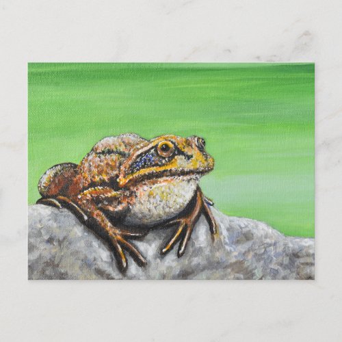 Frog on a Rock painting Postcard