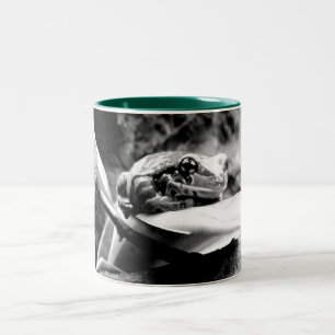 Frog on Leaf B+W Two-Tone Coffee Mug