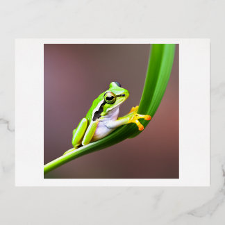 frog on leaf postcard