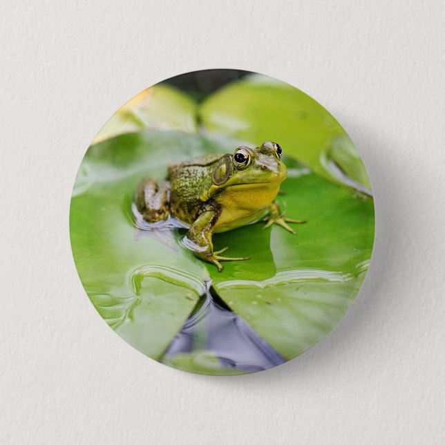 Frog On Lilly Pad Button (Front)