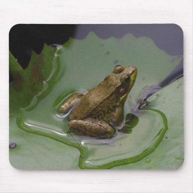 Frog on Lily Pad Mouse Pad (Front)