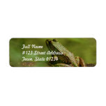 Frog on Log Mailing Labels