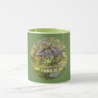 FROG PEERING AT YOU /YOU LOOK'N AT ME?