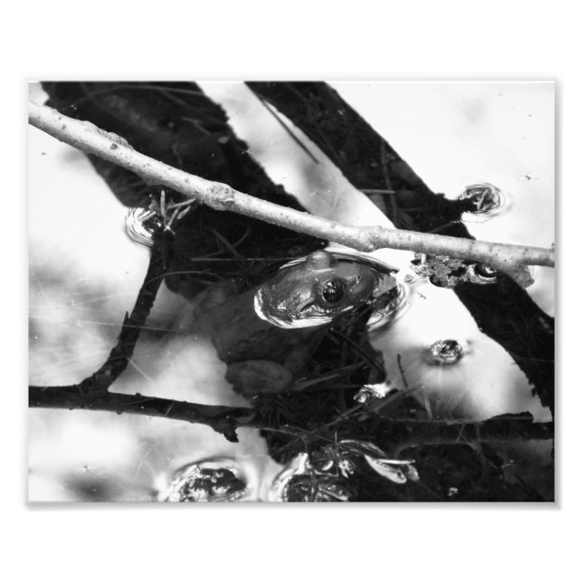 Frog Photo BW Print (Front)