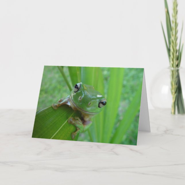 Frog Photo Greeting Card (Front)