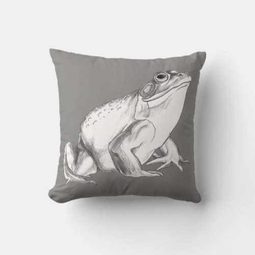 Frog Pillow Bullfrog Art Decor Gifts Art