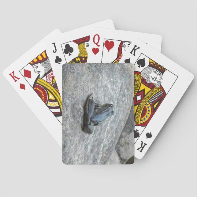 Frog Playing Cards (Back)