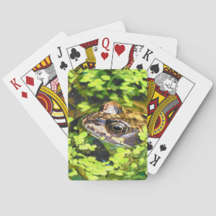FROG PLAYING CARDS
