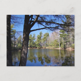 Frog Pond Postcard