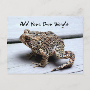 Frog Postcard