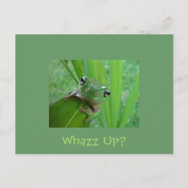 Frog Postcard (Front)