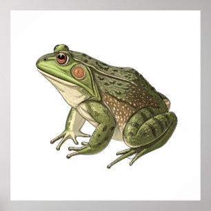 Frog Poster