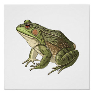 Frog Poster