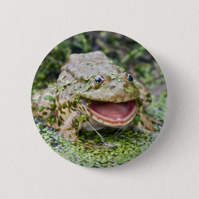 Frog Prince Badge Button (Front)