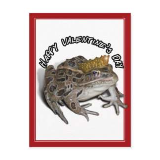 Frog Prince For Valentine's Day Holiday Postcard