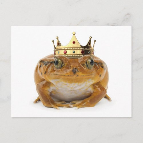 Frog Prince _ front Postcard