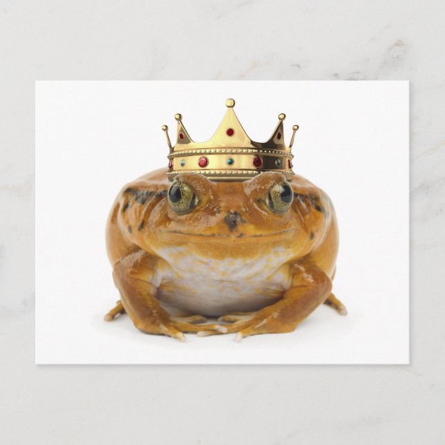 Frog Prince - front view Postcard (Front)