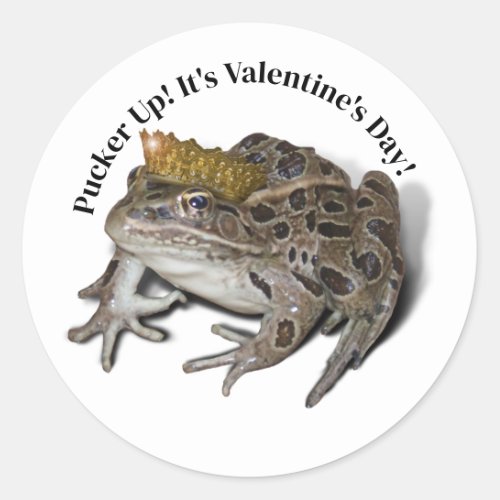  Frog Prince Valentine Classic Round Sticker