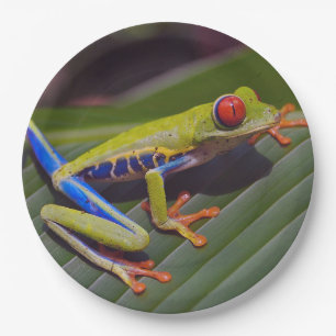 Frog Red Eye Photo Paper Plates