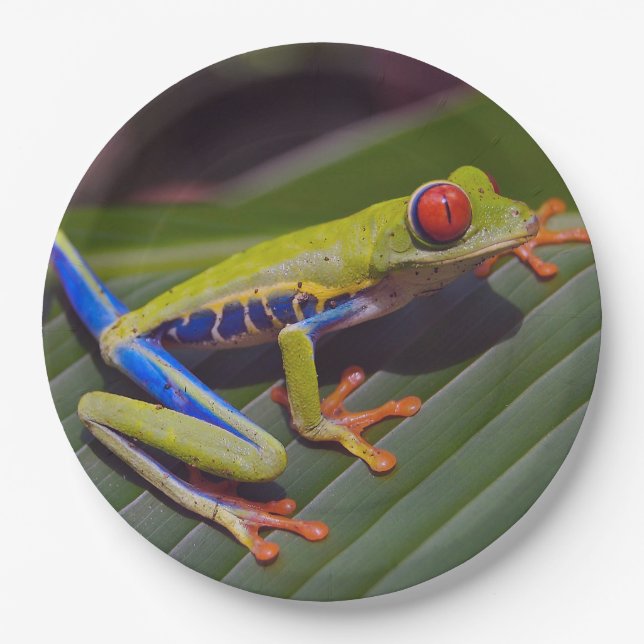 Frog Red Eye Photo Paper Plates (Front)
